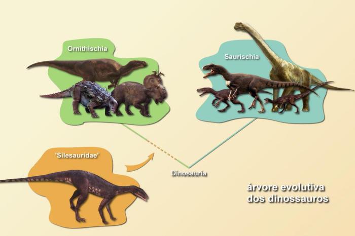 O mais antigo precursor dos dinossauros sul-americanos é