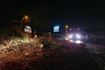 Árvore cai e bloqueia RS-040, em Viamão