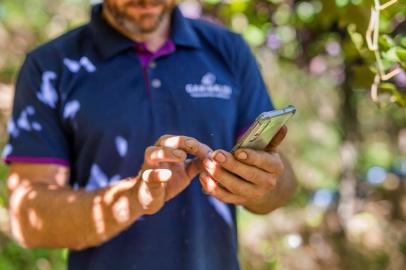 A Cooperativa Vinícola Garibaldi está disponibilizando para mais de 400 famílias associadas o acesso ao aplicativo Aegro, para melhorar a gestão do cultivo dos vinhedos. Não há custo para o viticultor. O software, desenvolvido para maior eficiência e controle dos negócios rurais, integra as rotinas do campo e do escritório, organizando todos os dados da propriedade. <!-- NICAID(14592248) -->