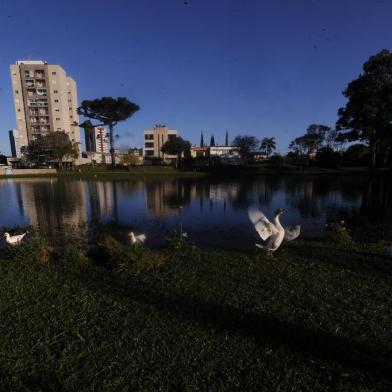  CAXIAS DO SUL, RS, BRASIL, 21/09/2020 - Dia 22 de Setembro marca o início da primavera, que segue até 21 de Dezembro. (Marcelo Casagrande/Agência RBS)<!-- NICAID(14597920) -->