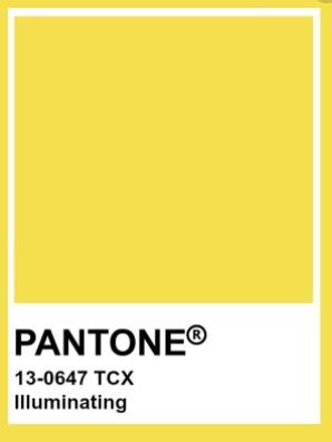 Pantone / Reprodução