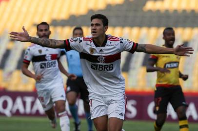  Brazils Flamengo forward Pedro celebrates after scoring against Ecuadors Barcelona during their closed-door Copa Libertadores group phase football match at the Monumental Banco Pichincha stadium in Guayaquil, Ecuador, on September 22, 2020, amid the COVID-19 novel coronavirus pandemic. (Photo by Dolores Ochoa / POOL / AFP)Editoria: SPOLocal: GuayaquilIndexador: DOLORES OCHOASecao: soccerFonte: POOLFotógrafo: STR<!-- NICAID(14598834) -->