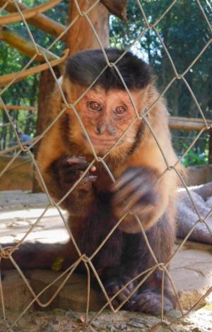 Divulgação / Zoológico Municipal de Canoas