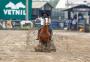 Cavalo de cabanha uruguaia e égua de Santa Cruz do Sul são os vencedores do 39º Freio de Ouro