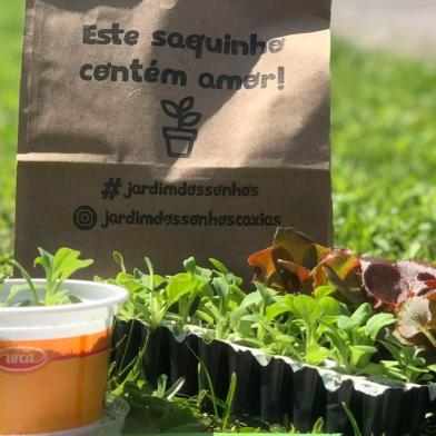 Correalizado por Unimed, Urca, o coletivo Vivacidade, e com apoio da prefeitura de Caxias do Sul,o projeto Jardim dos Sonhos distribui kits com um copo de sorvete usado e lavado, uma muda de flor, terra e pedras para crianças plantarem. A ação iniciada no primeiro dia de Primavera está completando uma semana com 850 kits entregues. A organização havia se programado, inicialmente, para entregar mil copinhos, mas resolveu ampliar em mais 300 mudas em função da receptividade da ação. A distribuição ocorre até 11 de outubro na Urca ou enquanto houver unidades. No dia 12 de outubro, Dia das Crianças, será feito um ato simbólico para o início da construção do Jardim dos Sonhos, dentro do Eco Parque. Por isso está sendo orientado que todas as crianças que plantarem a mudinha, façam uma foto da mudinha plantada ou um desenho e publiquem no Instagram com  marcações ao projeto. Desta forma, elas estarão representadas no jardim, já que ato será simbólico, sem a presença de público, em respeito ao isolamento social. A conclusão da estrutura que será montada no Eco Parque está prevista para 2021. <!-- NICAID(14603109) -->