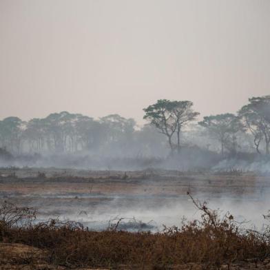 Incêndio ameaça animais no PantanalMT - QUEIMADAS/PANTANAL/ANIMAIS - GERAL - Vista de área devastada por incêndio no Pantanal de Porto Jofre, no município de Poconé   (MT), neste sávbado (19). O fogo que atingiu o Parque Estadual Encontro das Águas,   localizado na região de Porto Jofre, no Pantanal de Mato Grosso, destruiu 92 mil   hectares. Isso representa 85% da área total do local, que tem 108 mil hectares.    19/09/2020 - Foto: GREGORY FENILE/AGÊNCIA PIXEL PRESS/ESTADÃO CONTEÚDOEditoria: GERALLocal: POCONEIndexador: GREGORY FENILEFonte: Agencia Pixel PressFotógrafo: AGÊNCIA PIXEL PRESS<!-- NICAID(14596761) -->