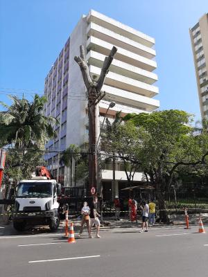 Paulo Brack / Arquivo Pessoal