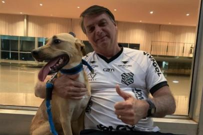 Bolsonaro posta foto ao lado de cão e diz: vacina obrigatória só no Faísca<!-- NICAID(14625332) -->