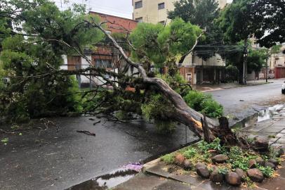  ****EM BAIXA****PORTO ALEGRE, RS, BRASIL, 27/10/2020-Árvore cai e bloqueia rua no bairro Santana, em Porto Alegre. Foto: Tiago Bitencourt / Agencia RBS<!-- NICAID(14626815) -->