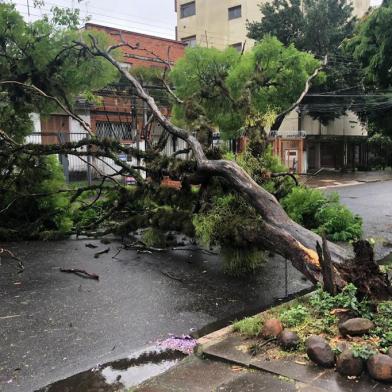  ****EM BAIXA****PORTO ALEGRE, RS, BRASIL, 27/10/2020-Árvore cai e bloqueia rua no bairro Santana, em Porto Alegre. Foto: Tiago Bitencourt / Agencia RBS<!-- NICAID(14626815) -->