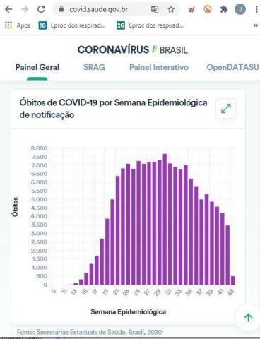 Reprodução / Reprodução