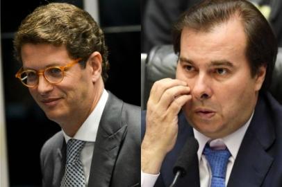 Ricardo Salles e Rodrigo Maia