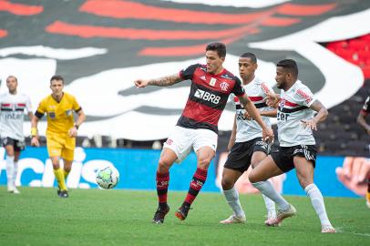 flamengo, são paulo, brasileirão, pedro