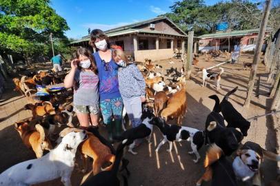 Protetora de animais transforma sítio em lar para 400 cães e gatos no bairro Lami, em Porto Alegre<!-- NICAID(14633375) -->