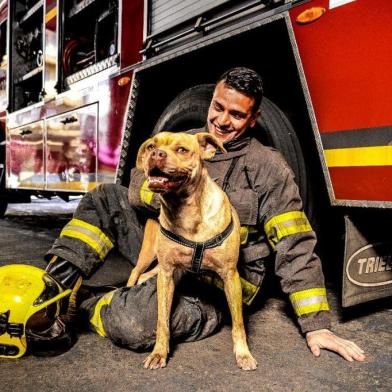 Calendário 2021: bombeiros de Caxias do Sul posam com animais resgatados para incentivar adoçõesO cenário para a produção das fotos não poderia ser diferente: o quartel da corporação. As imagens que ilustram os 12 meses de 2021 capturaram os soldados e os instrumentos de trabalhos usados pela corporação ao lado de animais da S.O.S Peludos e do Canil Municipal de Caxias do Sul.<!-- NICAID(14635176) -->