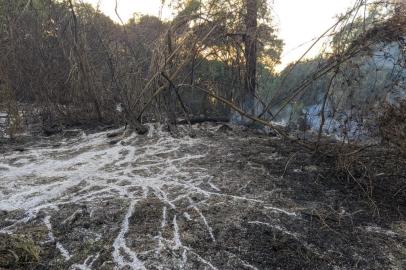 SÃO PAULO DAS MISSÕES, RS, BRASIL - 25/11/2020: Fogo consumiu área de mais de 50 hectares em São Paulo das Missões. <!-- NICAID(14654290) -->