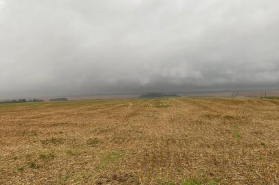 Chuva chega tarde para o milho, mas a tempo do plantio de soja nas Missões<!-- NICAID(14659693) -->