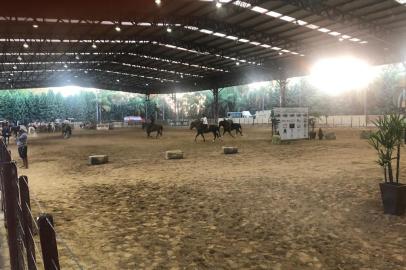  Evento na cancha de rodeios dos Pavilhões da Festa da Uva está sendo sendo realizado desta quinta-feira (10) até o próximo sábado (12) em Caxias do Sul.<!-- NICAID(14666195) -->