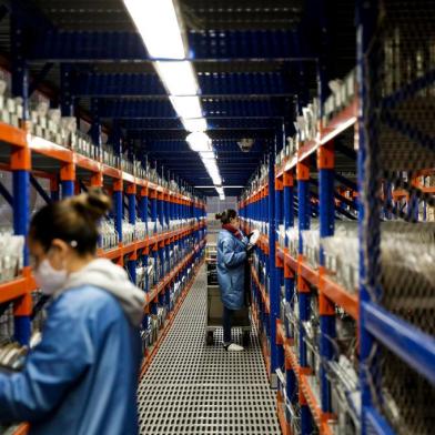 ELDORADO DO SUL, RS, BRASIL, 10-06-2020: Funcionárias na produção na Datacom, fabricante de eletroeletrônicos. Cuidados nas fábricas contra o coronavírus. (Foto: Mateus Bruxel / Agência RBS)<!-- NICAID(14519315) -->