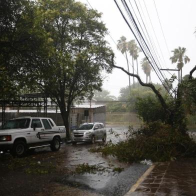  PORTO ALEGRE,RS, BRASIL - 13.12.2020 - Temporal no Centro Histórico. (Foto: Félix Zucco/Agencia RBS)<!-- NICAID(14667680) -->