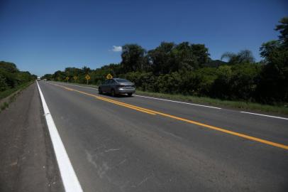  TABAÍ, RS, BRASIL, 18/12/2020 - Imagens do primeiro trecho da RS 287, logo após a saída da BR 386. Na foto-  entre  km 47 e 48.Foto:  Jefferson Botega  / Agencia RBS<!-- NICAID(14671917) -->