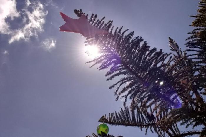 Previsão do tempo para Erechim (RS): Veja temperaturas do dia