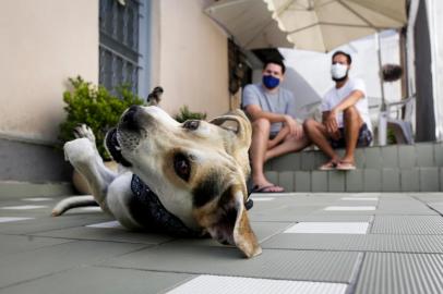  GUAIBA, RS, BRASIL, 29-12-2020: Diego Campos Trindade (D) e Nicolas Andres Zarate com o cachorro Sam, em casa, no bairro Colina, em Guaiba. Sam desapareceu do local no dia 02 de novembro e foi encontrado e acolhido por uma mulher em Porto Alegre no dia de Natal. Atraves das redes sociais, ela soube que se tratava de um animal desaparecido e promoveu o reencontro. (Foto: Mateus Bruxel / Agencia RBS)Indexador: Mateus Bruxel<!-- NICAID(14679060) -->