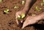 Cortes no orçamento federal preocupam agricultura familiar