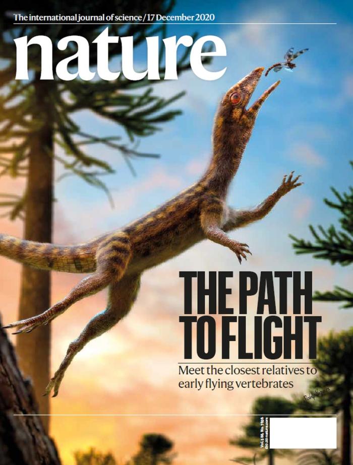 Reprodução / Revista Nature