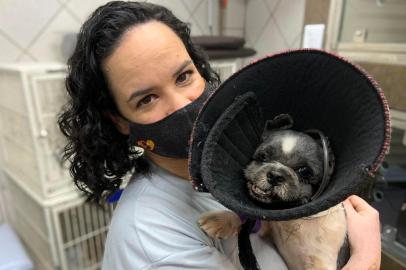  SAPUCAIA DO SUL, RS, BRASIL - 06/01/2021 - Cão Júnior, da raça shih-tzu, recebe tratamento após ter a mandíbula quebrada devido a maus-tratos. Na foto: a veterinária Grasi Centeno, 40 anos, da clínica Madagascar, integrante da ONG Simpatizantes da Causa Animal (Simca), de Sapucaia do Sul, que mobilizou comunidade para custear o tratamento do animal.<!-- NICAID(14684267) -->