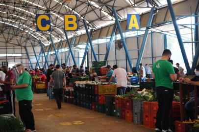  CAXIAS DO SUL, RS, BRASIL (10/09/2020)Ceasa para mostrar produção, volume, tipos de hortis vendidos. Pauta para +Serra. (Antonio Valiente/Agência RBS)<!-- NICAID(14588899) -->