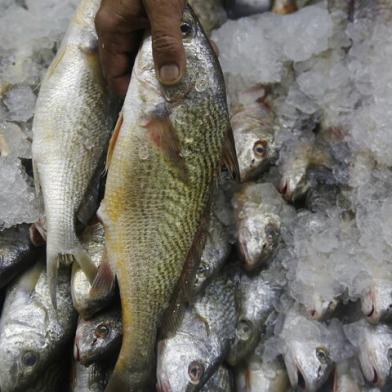 PORTO ALEGRE, RS, BRASIL, 10-04-2017: Feira do Peixe no Largo Glênio Peres, junto ao Mercado Público, na região central. (Foto: Mateus Bruxel / Agência RBS)<!-- NICAID(12845090) -->