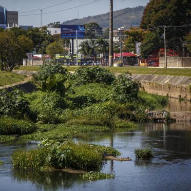 PORTO ALEGRE, RS, BRASIL - 02.05.2021 - Ilhas de vegetação têm se formado no Arroio Dilúvio devido ao assoreamento (acúmulo de sedimentos como areia, terra, lixo e outros materiais levados até o leito do rio pela ação da chuva, vento e do ser humano. Na foto, Rio Dilúvio próximo a ponte Mário Rigatto. (Foto: Jefferson Botega/Agencia RBS)Indexador: Jefferson Botega<!-- NICAID(14771883) -->