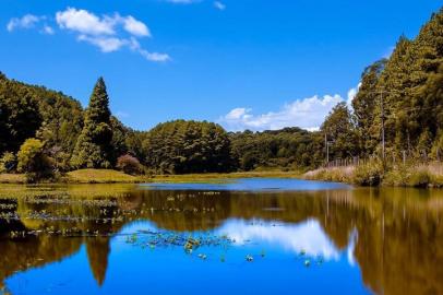 @gustavobarretophotographyClique do leitor Gustavo Barreto na Floresta Nacional de Canela, compartilhado no Instagram com a hashtag #doleitorzh<!-- NICAID(14435015) -->