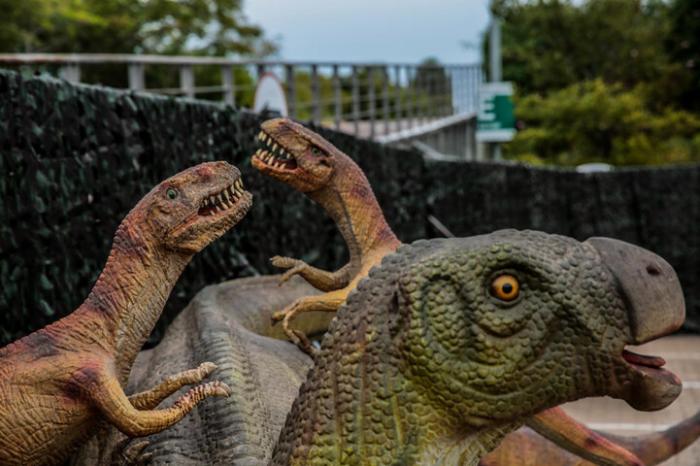 Onde ver dinossauros em São Paulo? Criaturas estão em parques