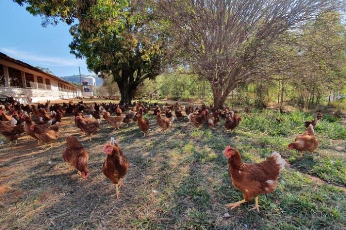 Fazenda da Toca / Divulgação