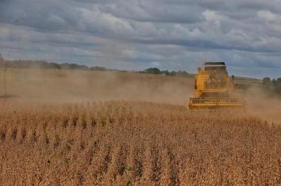 Catuípe, RS/,BRASIL,06/04/2021- Colheita da soja em 2021 no Rio Grande do Sul deverá ser recorde. Produtores devem colher mais de 20 milhões de toneladas pela primeira vez na história, com preço da saca acima de R$ 160, também em patamar inédito. Na foto: João César Dalla Corte Sobrinho, produtor de soja.  Foto: Lauro Alves  / Agencia RBS<!-- NICAID(14751483) -->