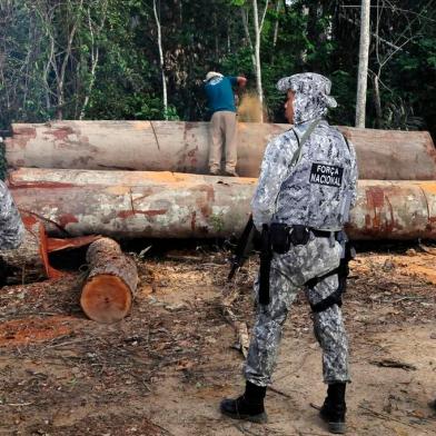 Governo autoriza Forças Armadas a combater desmatamento em Mato Grosso<!-- NICAID(14829719) -->