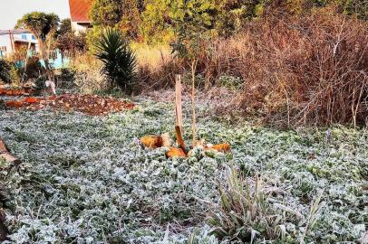 Vacaria registrou a temperatura mínima do Estado nesta terça-feira<!-- NICAID(14839851) -->