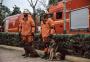 Cães farejadores de Santa Catarina reforçam equipes
no sexto dia de buscas por bombeiros desaparecidos