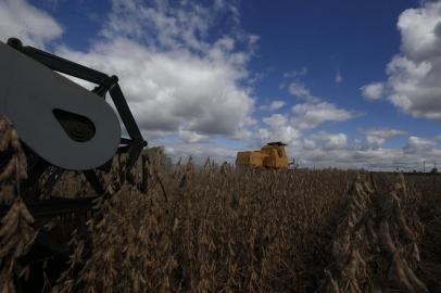 Catuípe, RS/,BRASIL,06/04/2021- Colheita da soja em 2021 no Rio Grande do Sul deverá ser recorde. Produtores devem colher mais de 20 milhões de toneladas pela primeira vez na história, com preço da saca acima de R$ 160, também em patamar inédito. Na foto: João César Dalla Corte Sobrinho, produtor de soja.  Foto: Lauro Alves  / Agencia RBS<!-- NICAID(14751511) -->