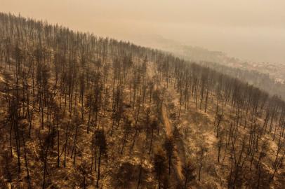 This aerial picture taken on August 9, 2021, shows burnt trees in the village of Pefki on Evia (Euboea) island. - Firefighters tried on August 9, 2021 to prevent fires from reaching key communities and a thick forest that could fuel an inferno that one official said has destroyed hundreds of homes in seven days on the Greek island of Evia. If most of nearly two weeks of fires had stabilised or receded in other parts of Greece, the ones on rugged and forested Evia were the most worrying and created apocalyptic scenes. (Photo by Angelos Tzortzinis / AFP)<!-- NICAID(14860622) -->