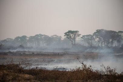Incêndio ameaça animais no PantanalMT - QUEIMADAS/PANTANAL/ANIMAIS - GERAL - Vista de área devastada por incêndio no Pantanal de Porto Jofre, no município de Poconé   (MT), neste sávbado (19). O fogo que atingiu o Parque Estadual Encontro das Águas,   localizado na região de Porto Jofre, no Pantanal de Mato Grosso, destruiu 92 mil   hectares. Isso representa 85% da área total do local, que tem 108 mil hectares.    19/09/2020 - Foto: GREGORY FENILE/AGÊNCIA PIXEL PRESS/ESTADÃO CONTEÚDOEditoria: GERALLocal: POCONEIndexador: GREGORY FENILEFonte: Agencia Pixel PressFotógrafo: AGÊNCIA PIXEL PRESS<!-- NICAID(14596761) -->