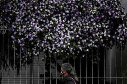 PORTO ALEGRE, RS, BRASIL, 21-09-2021: Flores no bairro Cidade Baixa. Primavera comeca no dia 22 de setembro. (Foto: Mateus Bruxel / Agencia RBS)Indexador: Mateus Bruxel<!-- NICAID(14894801) -->