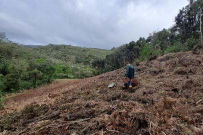 Em operação nacional, Gramado identifica 20,29 hectares de desmatamento da Mata Atlântica<!-- NICAID(14901369) -->