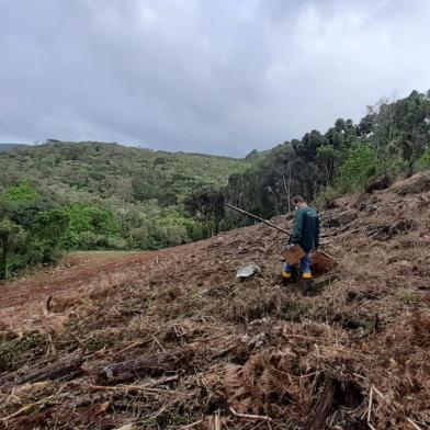 Em operação nacional, Gramado identifica 20,29 hectares de desmatamento da Mata Atlântica<!-- NICAID(14901369) -->