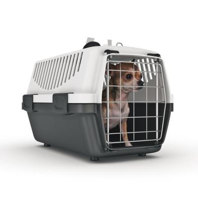 the container for transportation of animals with a small doggie. 3d renderingFonte: 400893834<!-- NICAID(14919065) -->