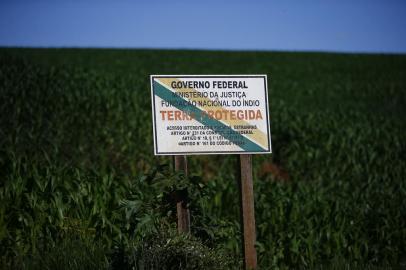 TENENTE PORTELA, RS, BRASIL - 20.10.2021: Máquinas e caminhões agrícolas fazem a colheita do trigo em terras indígenas arrentadas de forma ilegal (FOTO FÉLIX ZUCCO/AGÊNCIA RBS, Editoria de Notícias).<!-- NICAID(14919641) -->