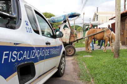 Nessa segunda-feira, 4 de outubro, Dia Mundial dos Animais, a Prefeitura de Esteio iniciou as operações de orientação aos condutores de veículos de tração animal (VTAs) sobre a proibição, a partir de 1º de novembro, da circulação desse tipo de transporte pelas ruas e avenidas da cidade. Até lá, servidores da Secretaria Municipal de Desenvolvimento Econômico e Meio Ambiente (SMDEMA), da Guarda Municipal e da Fiscalização de Trânsito abordarão pessoas em carroças ou charretes e entregarão panfletos com informações sobre os cuidados necessários com a saúde e o bem-estar dos cavalos e sobre o que será permitido e proibido a partir do próximo mês. O titular da SMDEMA, Felipe Costella, acompanhou parte da ação.<!-- NICAID(14919939) -->