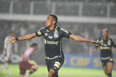 27/10/2021 - SANTOS, SP - ESTÁDIO URBANO CALDEIRA (VILA BELMIRO) - Santos x Fluminense. Campeonato Brasileiro - Foto: Ivan Storti/Santos FC/Divulgação<!-- NICAID(14926496) -->